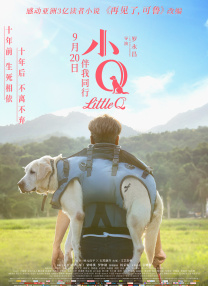 全班最美的一枝花